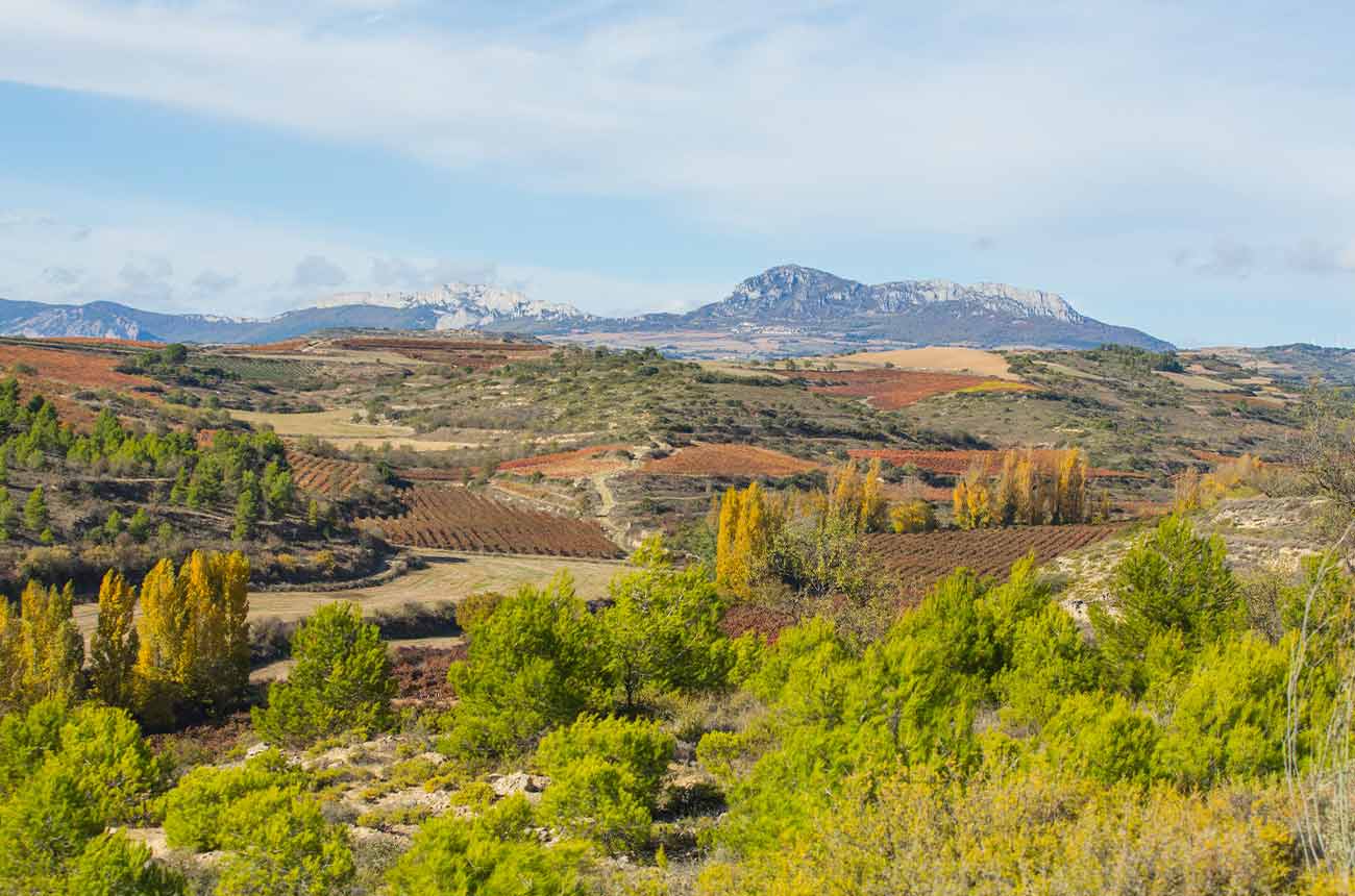 Bodegas Olarra on the outskirts of Logro&ntilde;o in the Rioja Alta subzone, Spain