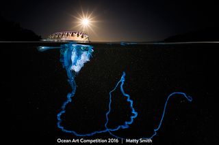 Matty Smith won Best of Show in an underwater photography contest for this shot of a Pacific Man-of-War (<i>Physalia utriciulus</i>) floating in the darkness in Bushrangers Bay, New South Wales, Australia.