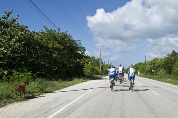The riders enjoy an gentle morning ride