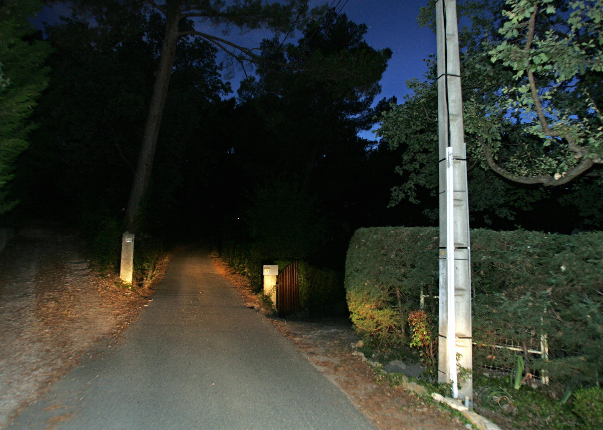 An unlit country lane