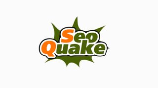 The logo of SEOquake, one of the best SEO tools