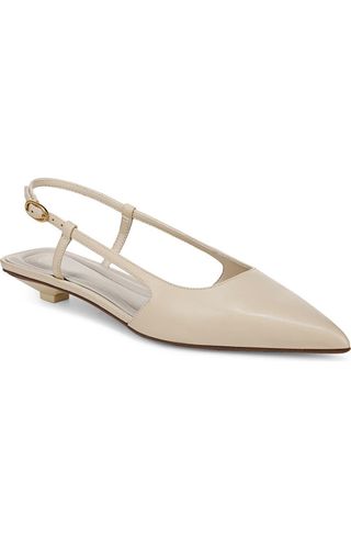 Pheby Slingback Pointed Toe Flat