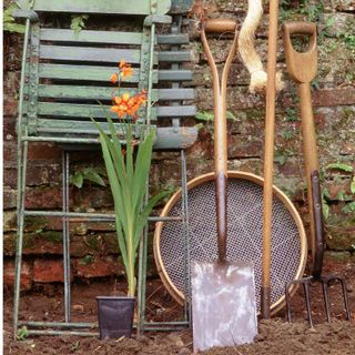 gardening tools with flower plant
