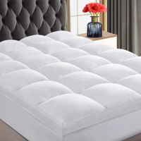 INGALIK Queen Size Mattress Pad | Was $49.90, now $28.49 at Walmart