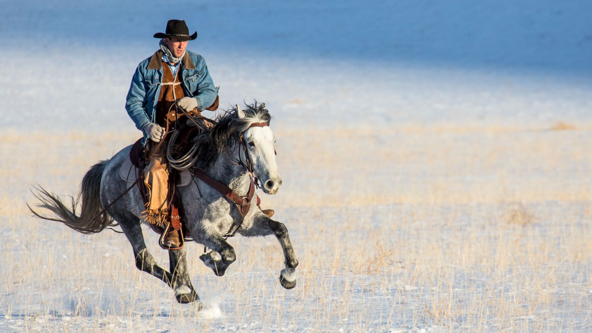 Cowboy gallops on a gray horse across a snowy plain