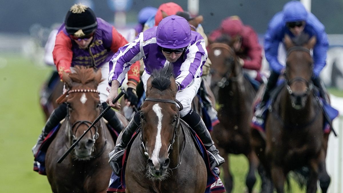 Jockey Ryan Moore, in purple and white silks, riding Continuous to victory at the St Leger Stakes.