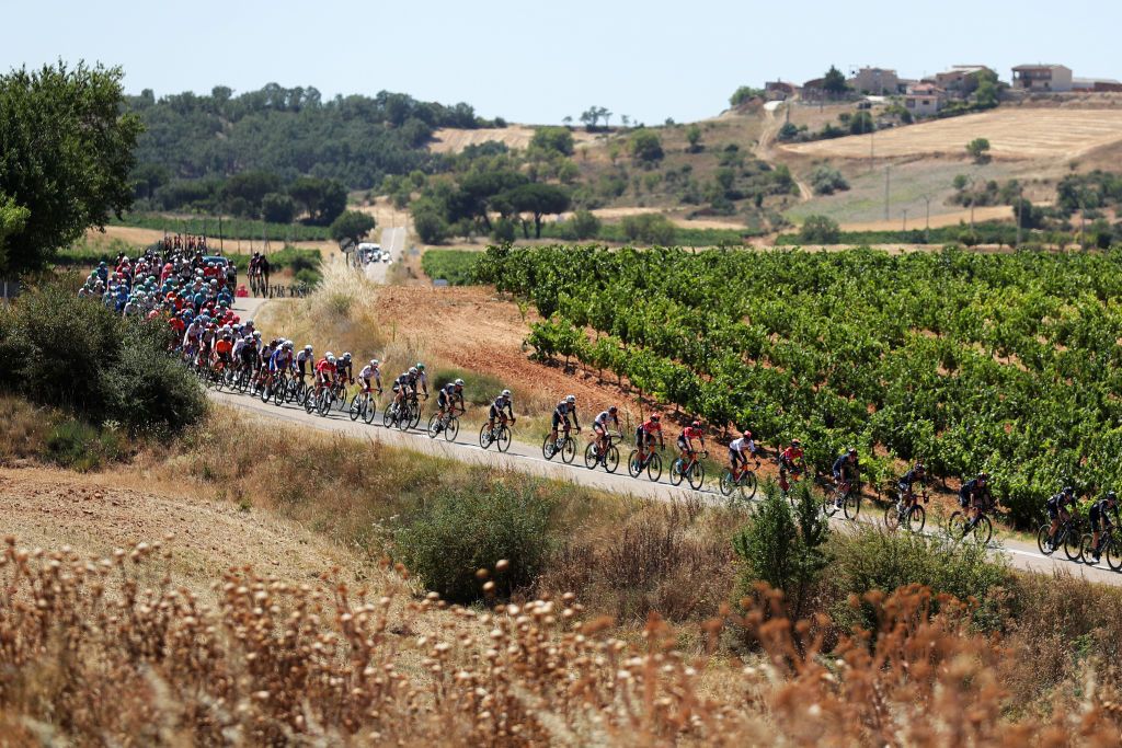 ARANDA DE DUERO SPAIN AUGUST 06 The Peloton passing through Ribera del Duero Vineyards fields during the 43rd Vuelta a Burgos 2021 Stage 4 a 149km stage from Roa to Aranda de Duero VueltaBurgos BurgosCycling CapitalMundialdelCiclismo on August 06 2021 in Aranda de Duero Spain Photo by Gonzalo Arroyo MorenoGetty Images