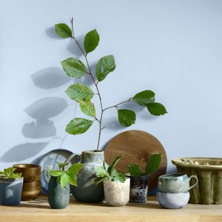 Countertop with various plant pots against a light blue wall