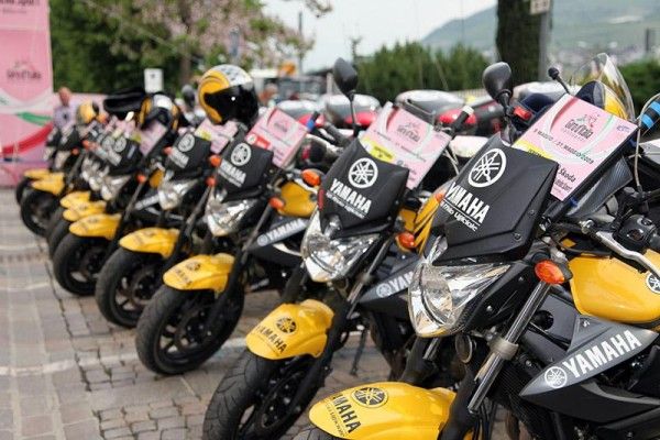 A fleet of motorcycles utilized by the race organizers each day.