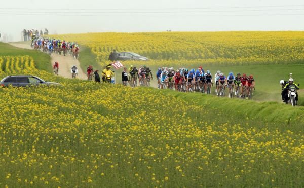The riders snake through the countryside during Paris-Roubaix