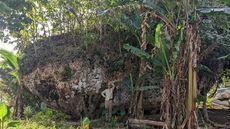UQ researcher Martin K&ouml;hler stands in front of the Maka Lahi boulder.