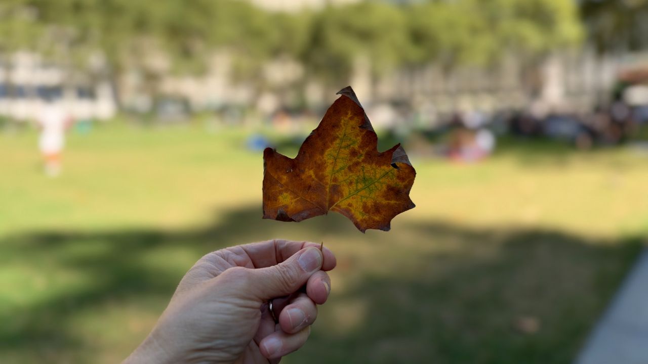 iPhone 18 Pro Max variable aperture test