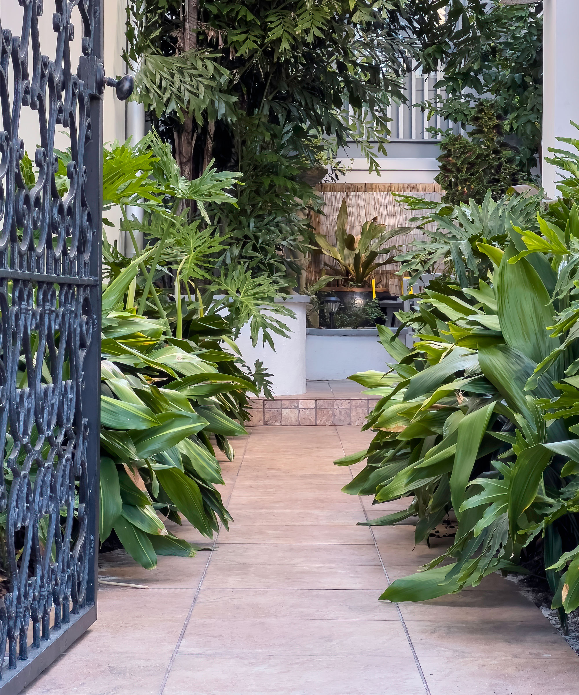 gate and path leading into front yard with small patio and leafy tropical planting