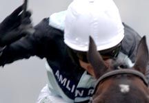 cheltenham5.jpg