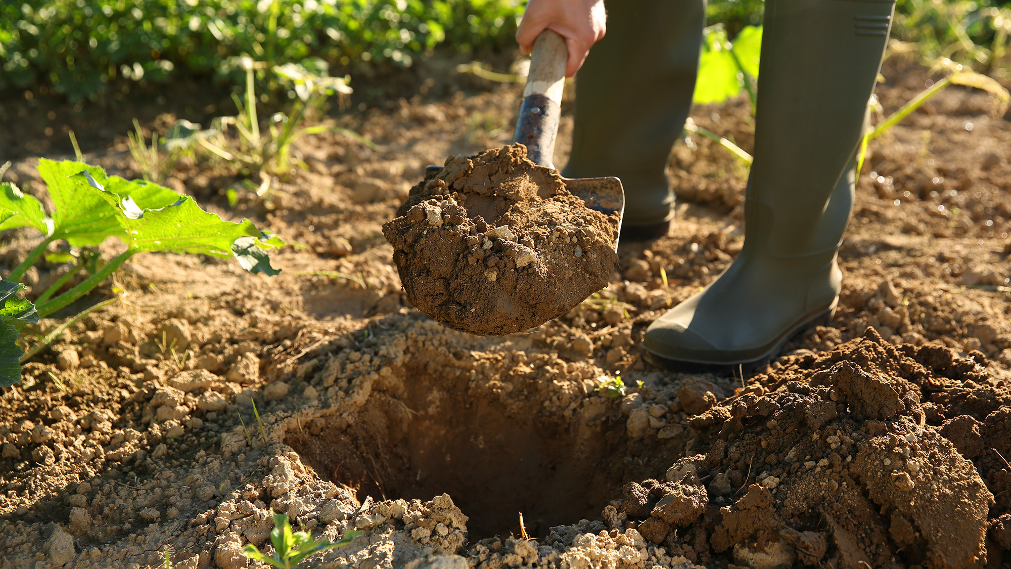 Man digging soil