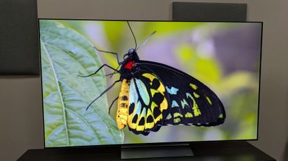 The LG C6 OLED TV with a green and yellow butterfly on a leaf on screen. The butterfly's colors are bold, punchy and accurate 