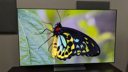 The LG C6 OLED TV with a green and yellow butterfly on a leaf on screen. The butterfly's colors are bold, punchy and accurate 