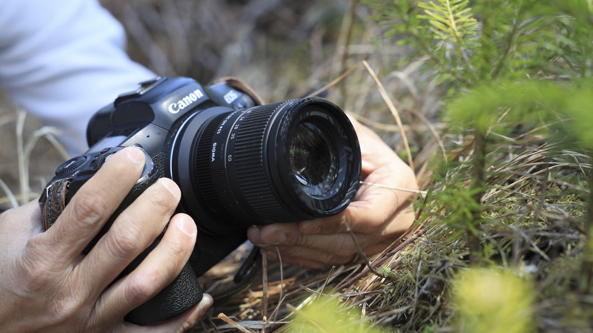 Sigma 18-50mm f/2.8 DC DN Contemporary lens in the hand, attached to a Canon EOS R5 camera