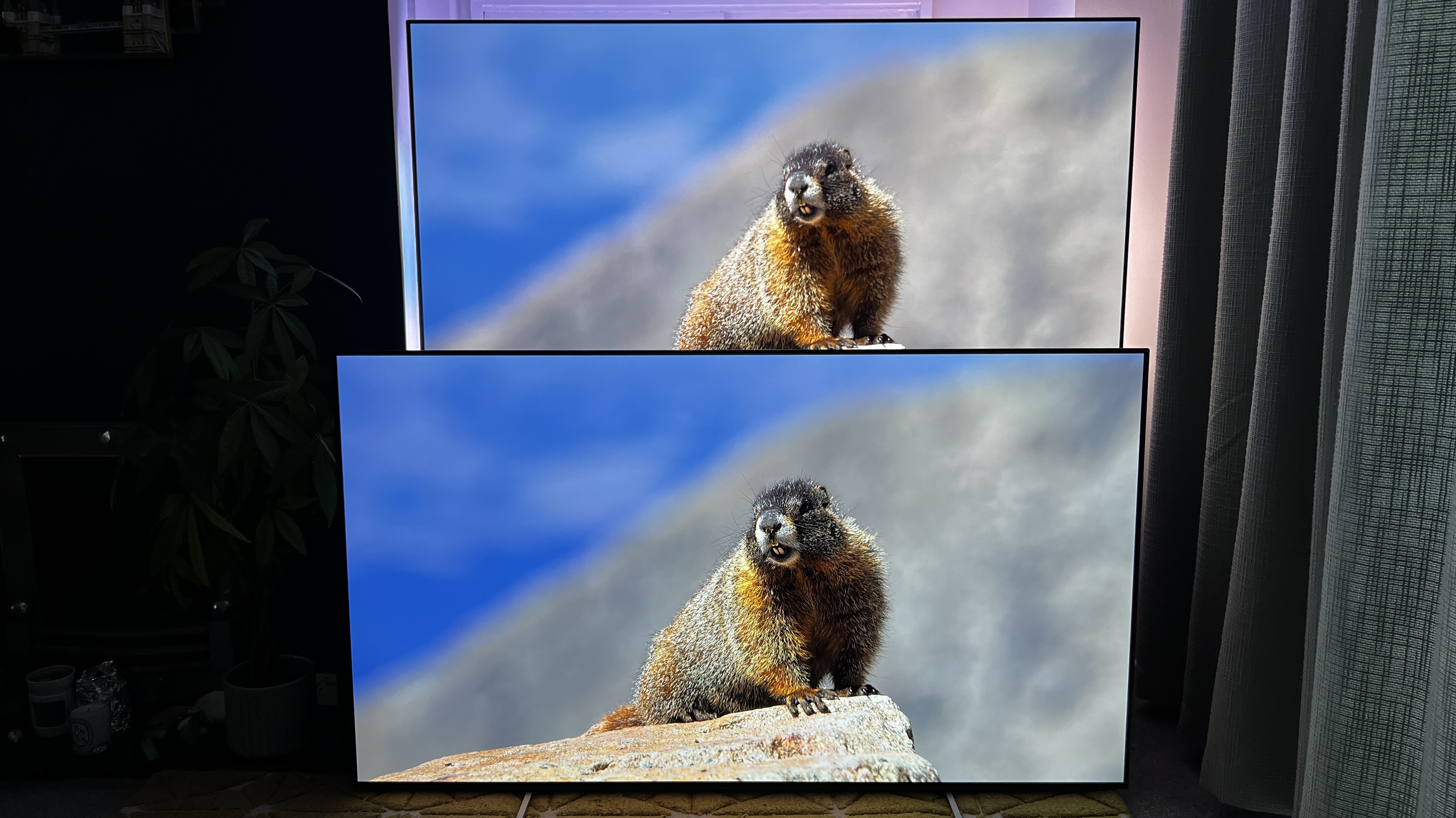 Two Philips OLED TVs next to each other, with the same image on-screen, showing differences in the brightness and color