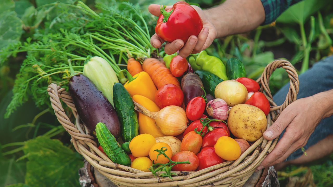 Basket filled with Italian vegetables