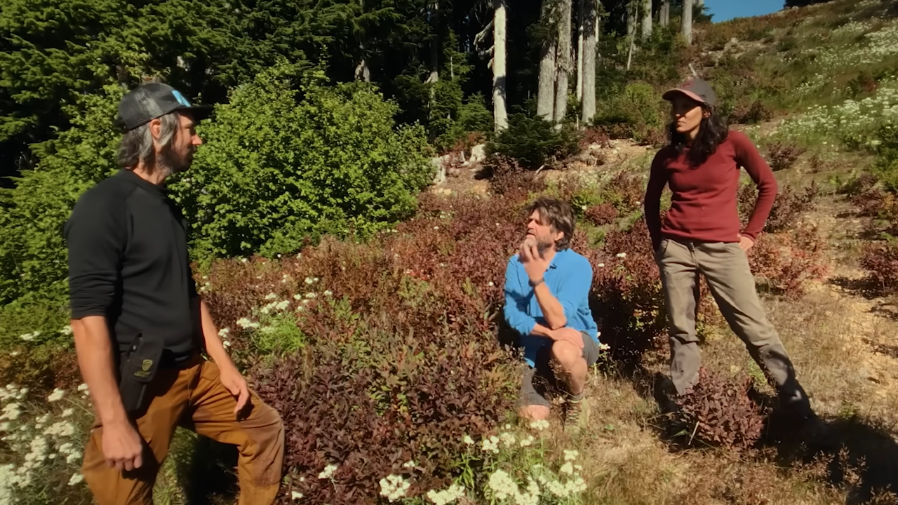 Zach Galifianakis on This Is a Gardening Show
