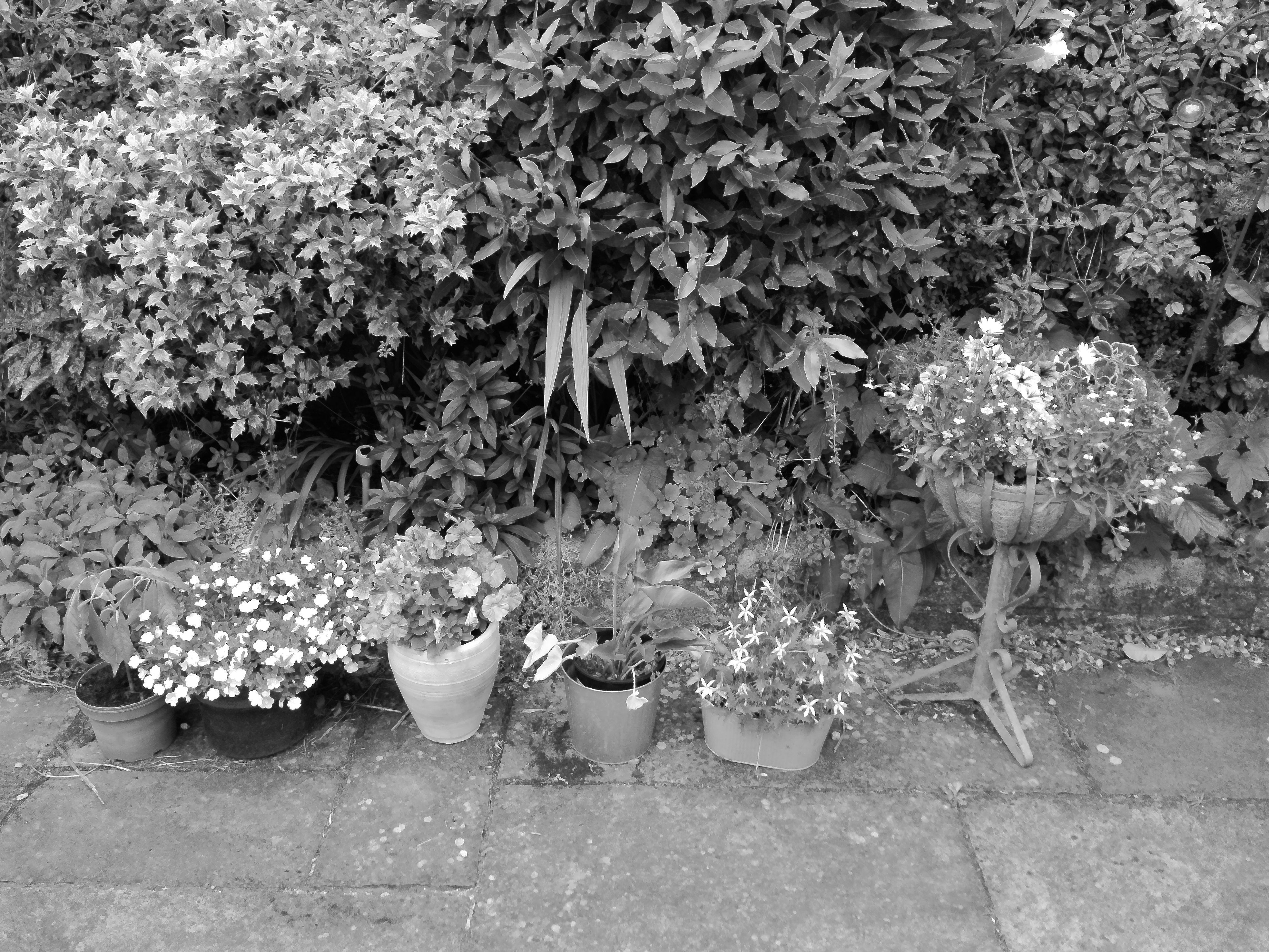 Yashica FX-D 300 example shot - film simulations