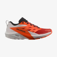 Salomon Sense Ride 5: was $140 now $105 @ SalomonNote: