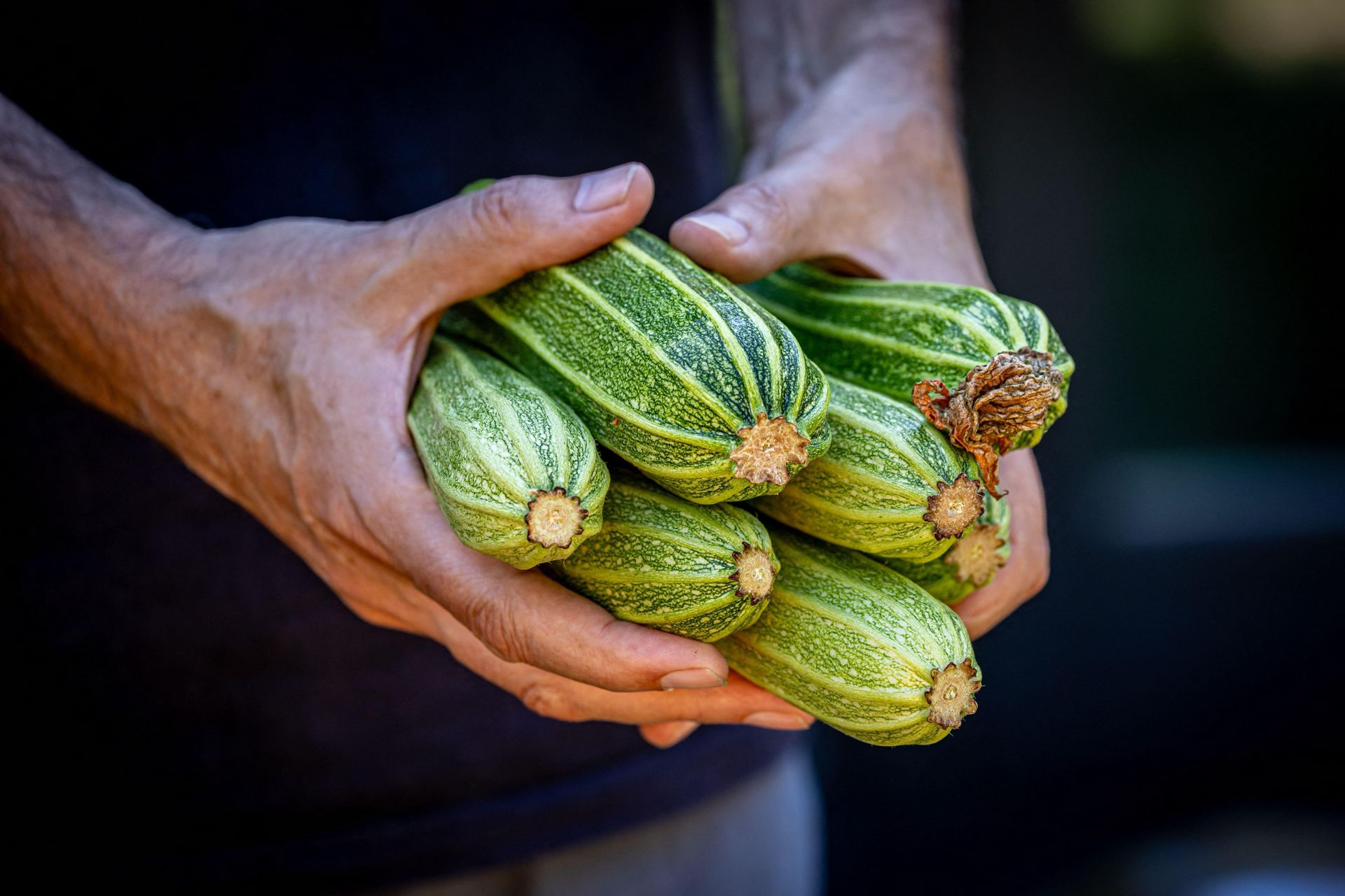 Man holding lots of courgettes