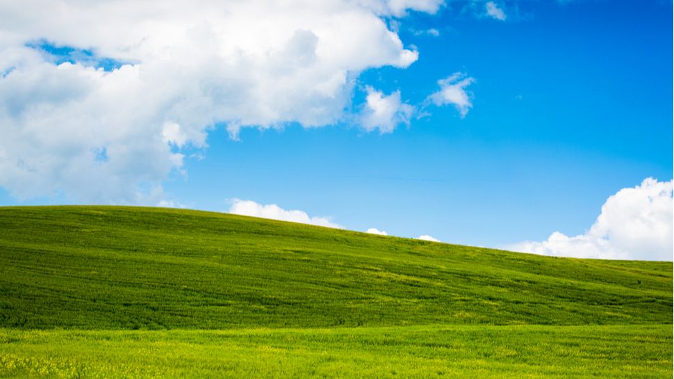 windows xp windows 10