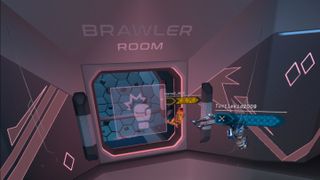 The Brawler Room Echo VR