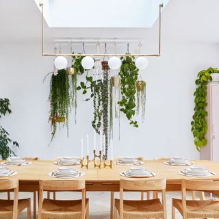 Dining area with wooden dining table and hanging plants and pendant lights above