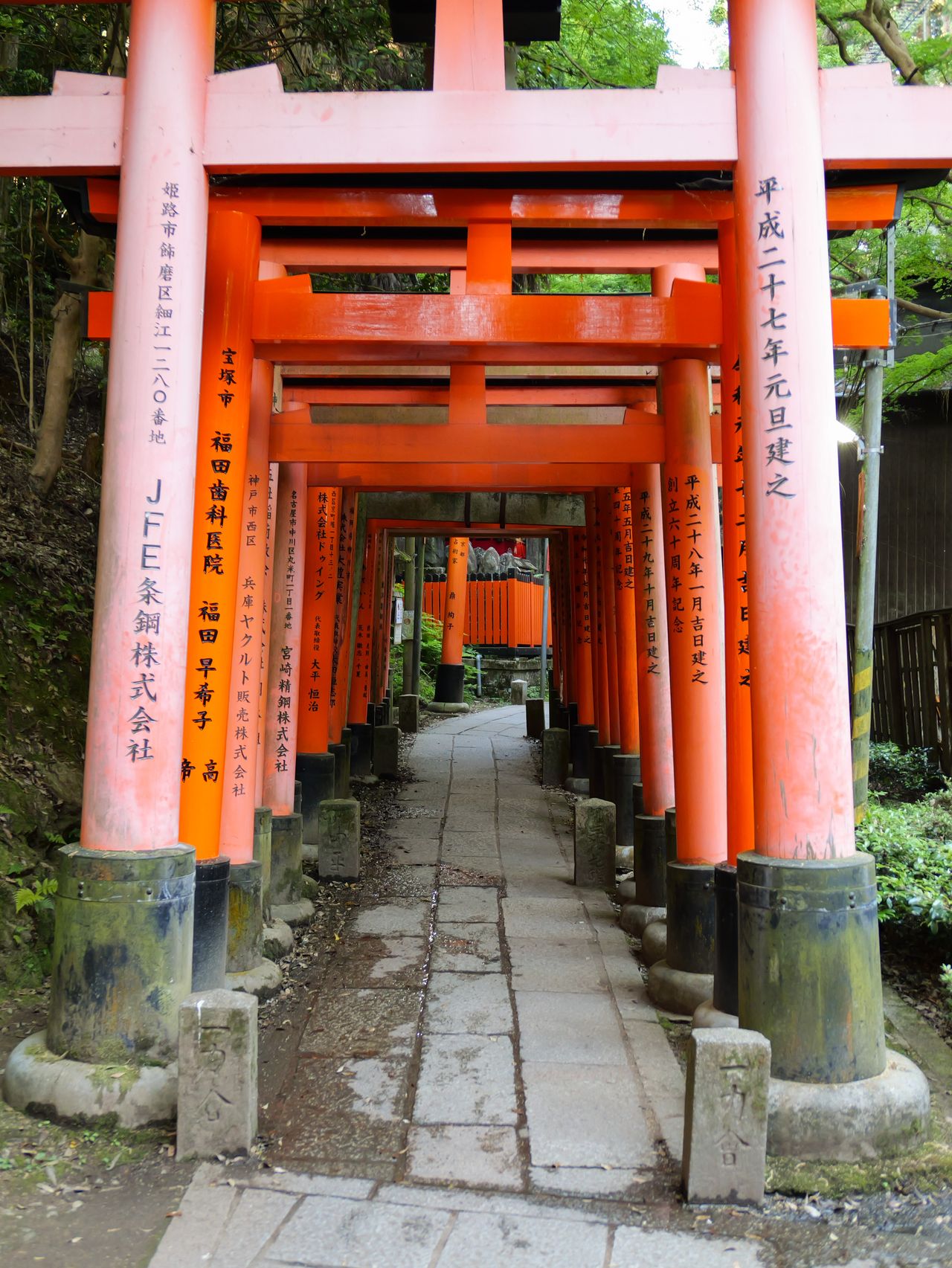 Pathway through rows of orange torii gates.