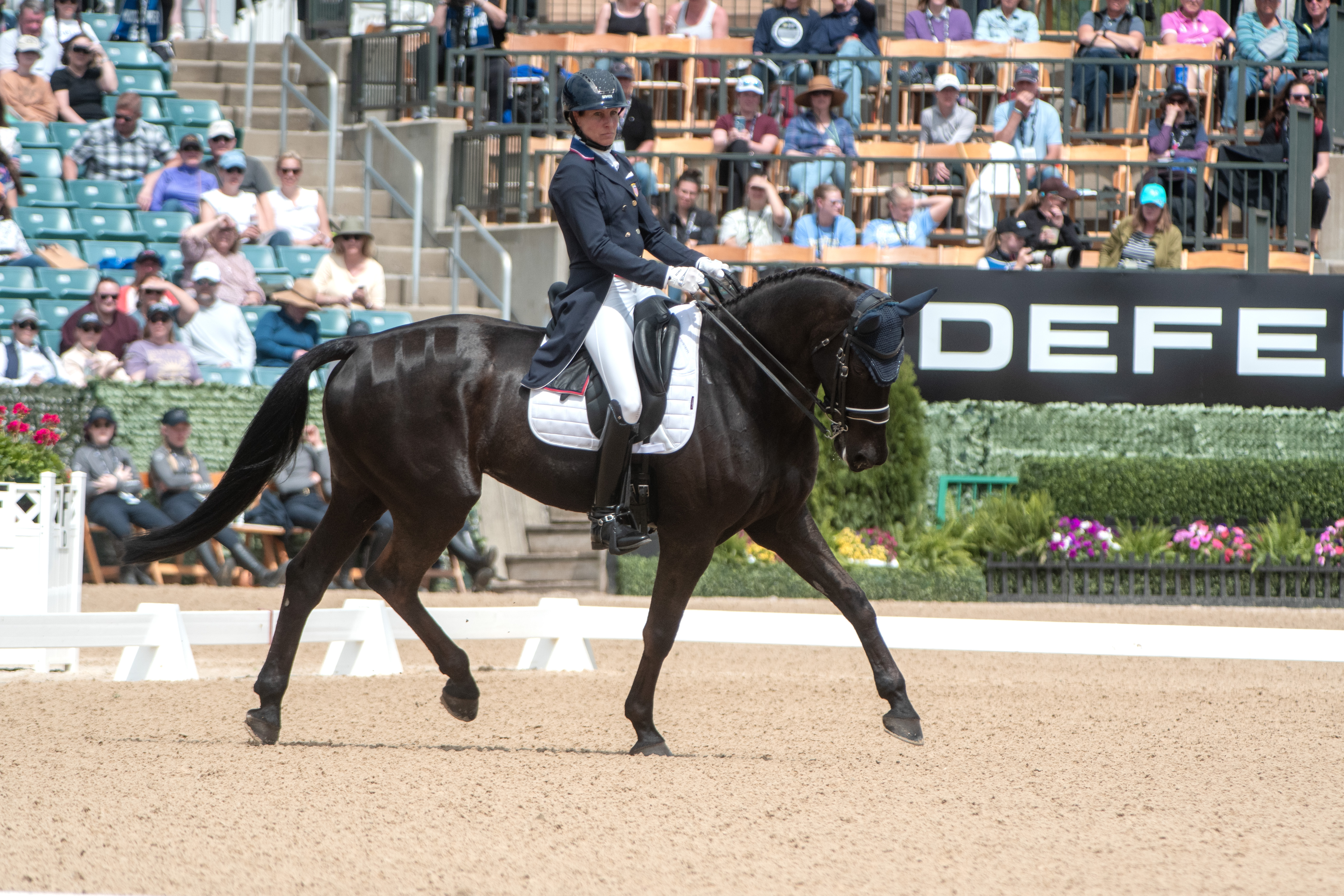 Cooley Nutcracker and Liz Halliday at Kentucky 2024.