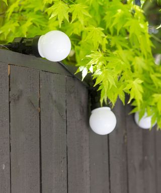 Globe fairy lights illustrating fence decorating ideas on a wooden fence.