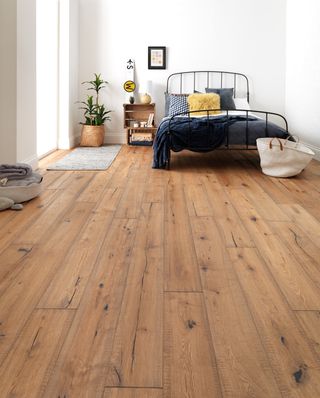 a vast oak wood floor with a bed in the corner, a window to the left, and a bedside table and a plant in the middle