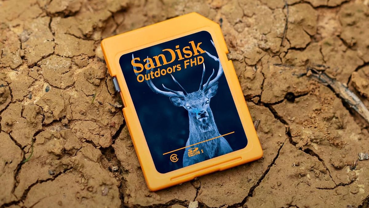 SanDisk Outdoors SDXC card