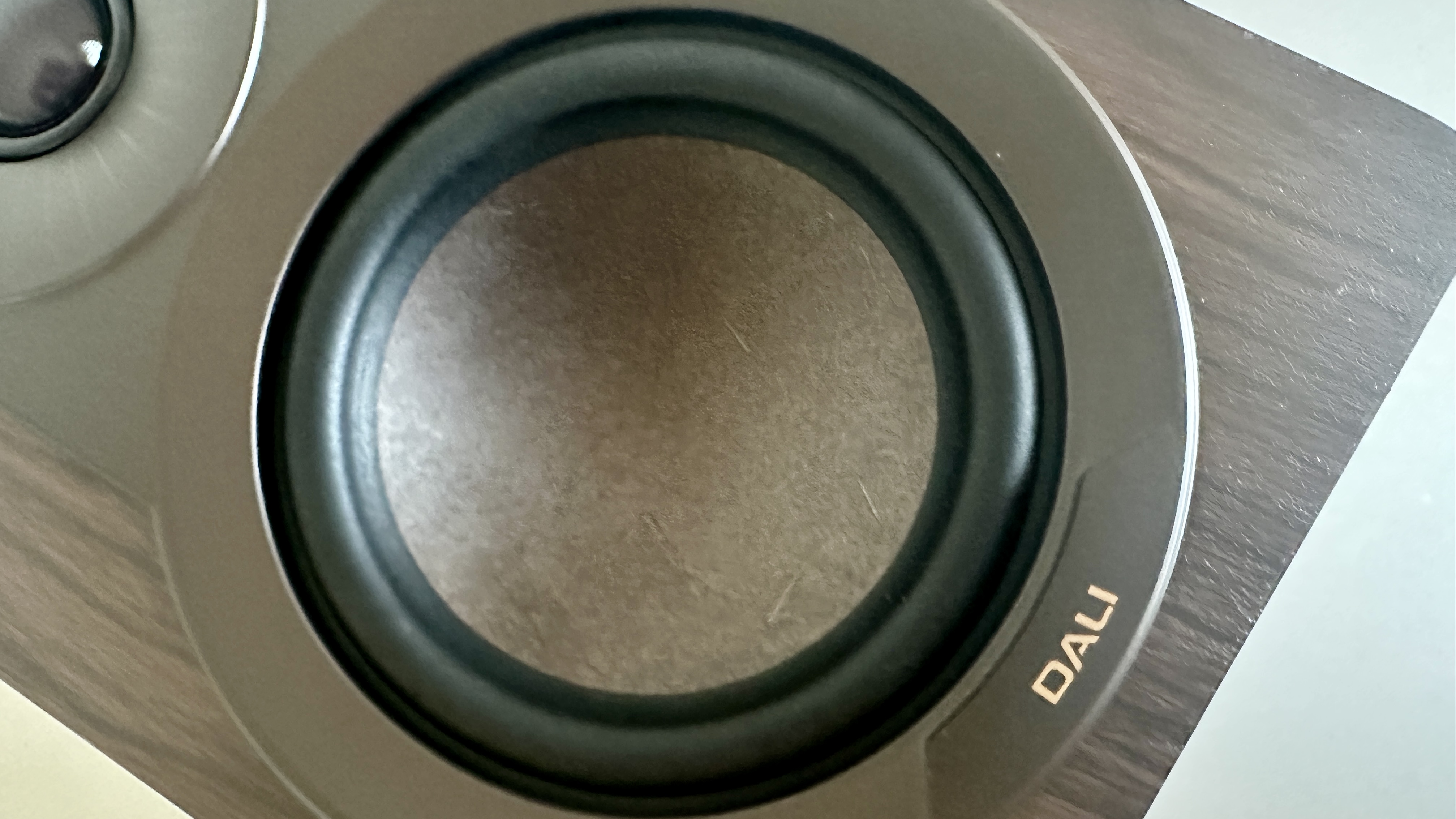 Close of the driver on the Dali Kupid bookshelf speaker.