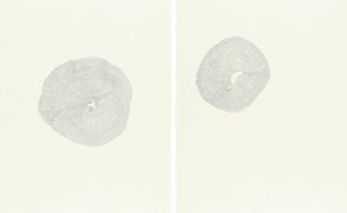Two drawings of concentric circles, ‘Topography of Adaption’ by Margaret Waiyego Zollinger, winner of Hue+Man competition