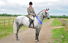 anthonynicholas-bury-farm.jpg