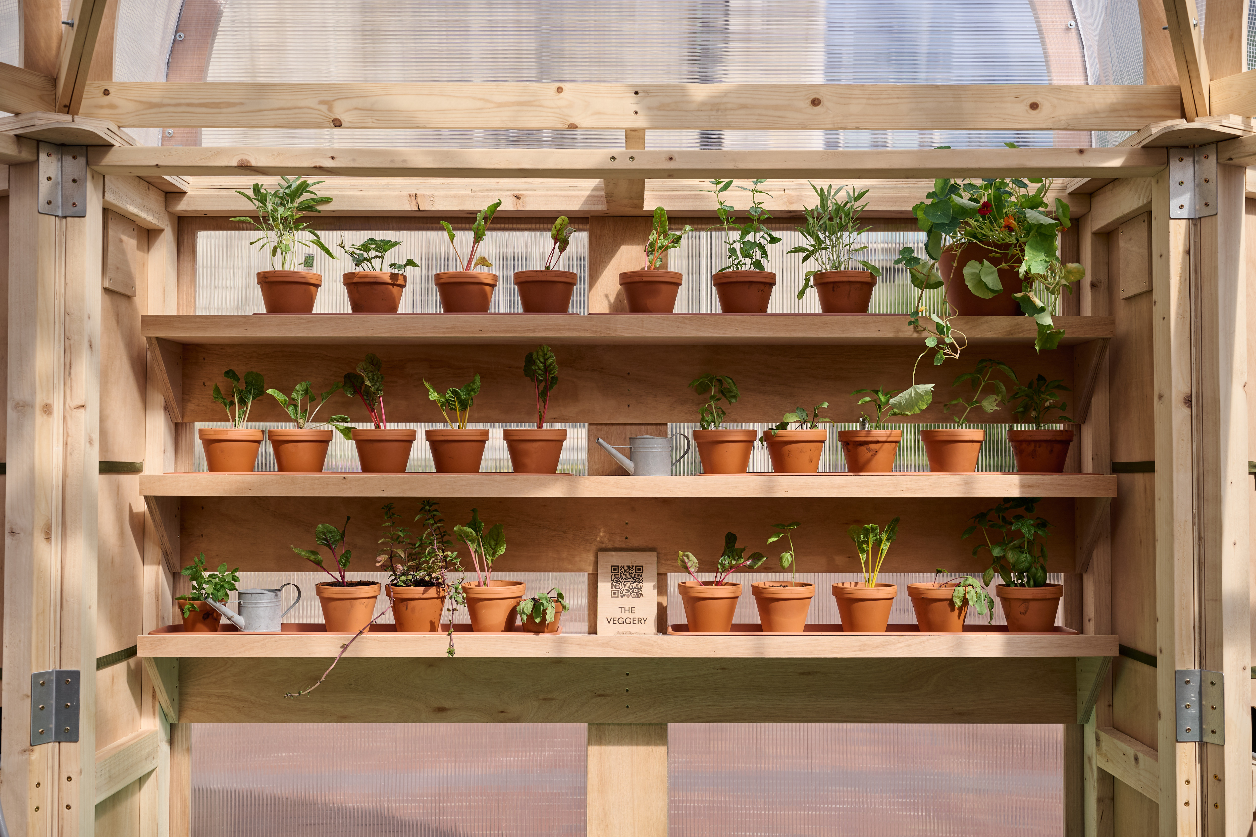 The Veggery, a greenhouse pavilion installed outside in a London plaza, made of wood and featuring a variety of plant pots on shelves