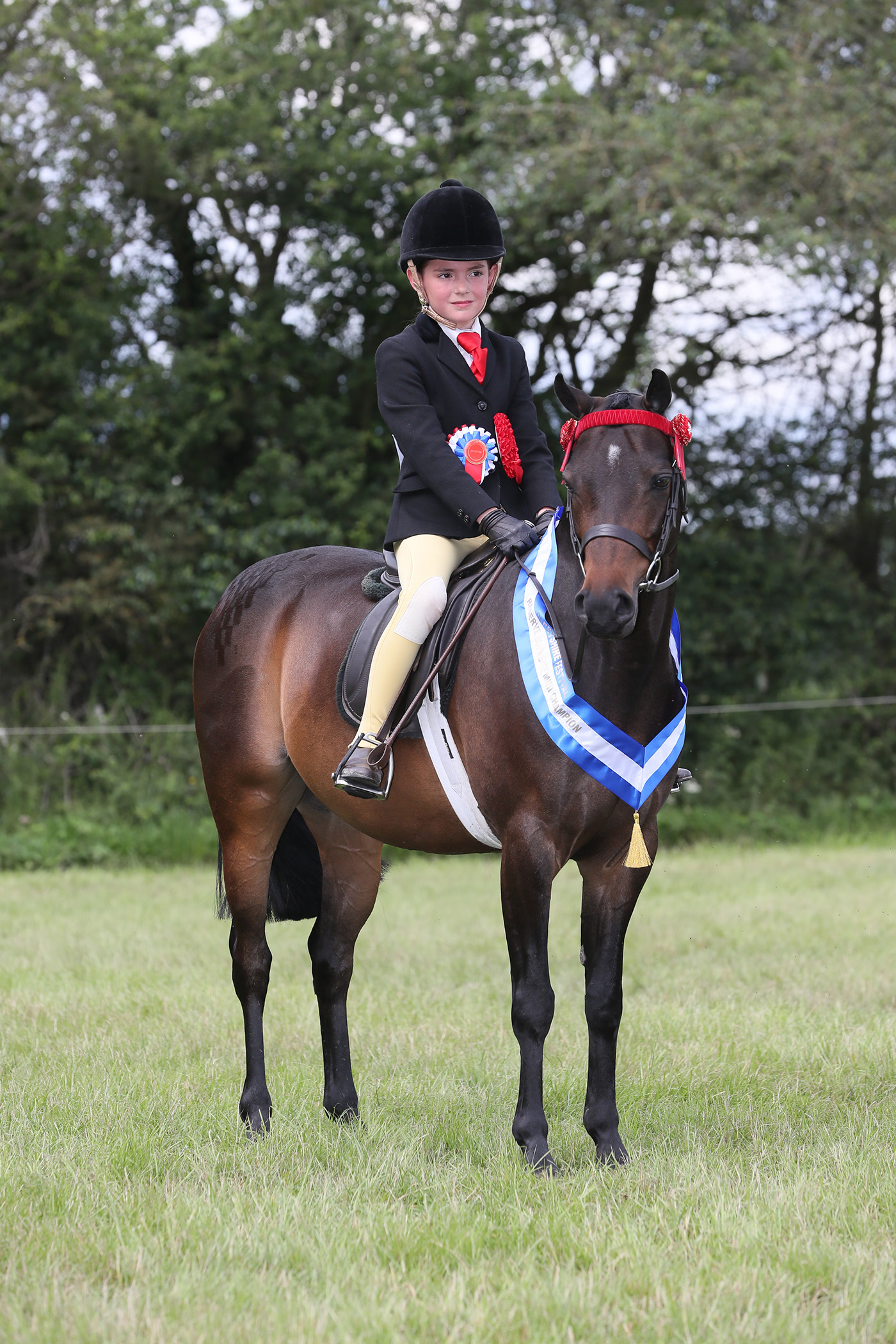 MINI SUPREME CHAMPIONSHIP RESERVE743RAVARA MR TODD R : Milly Gilbert