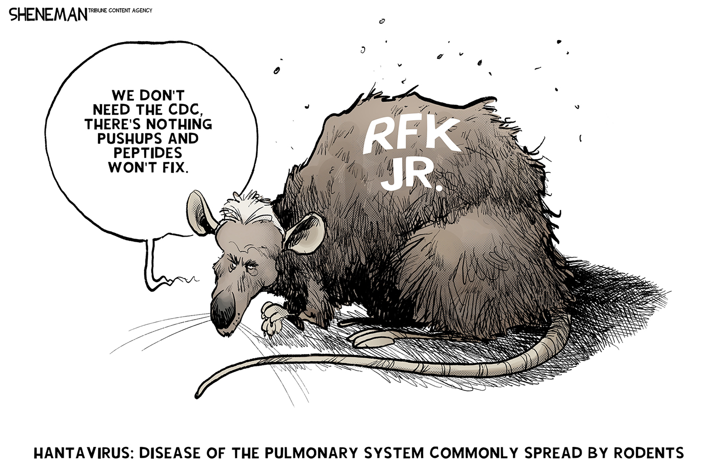 The words at the bottom of this cartoon read, &amp;ldquo;Hantavirus: Disease of the pulmonary system commonly spread by rodents.&amp;rdquo; The image depicts a rat with RFK Jr.&amp;rsquo;s face. RFK Jr. says, &amp;ldquo;We don&amp;rsquo;t need the CDC, there&amp;rsquo;s nothing pushups and peptides won&amp;rsquo;t fix.&amp;rdquo;