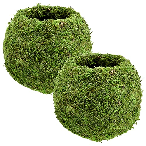 Arcadia Garden Products Ko02 Kokedama-6.5 X 5.9&amp;rdquo;, Set of 2, Green