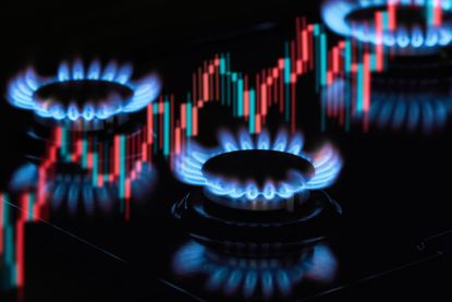 Gas burners on stoves with a graph of growth in natural gas prices