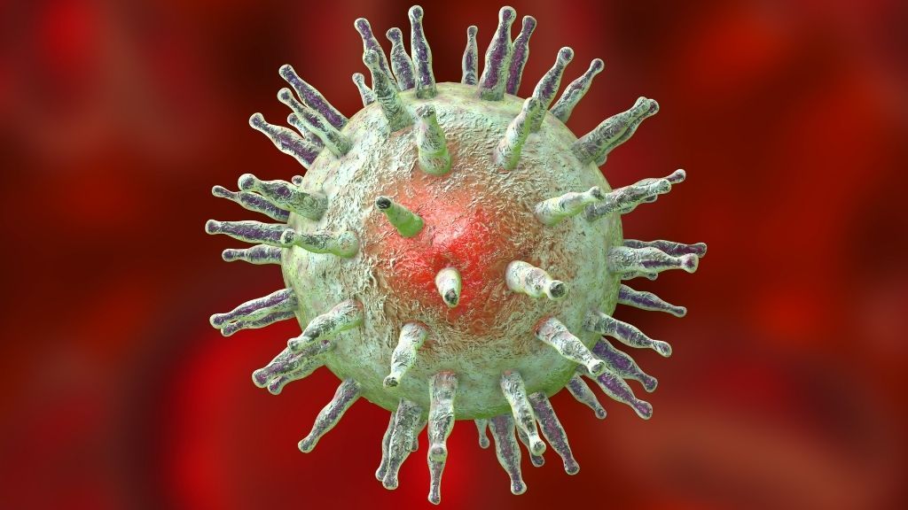 illustration of an epstein barr virus particle