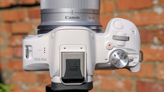 Canon EOS R50 attached to tripod