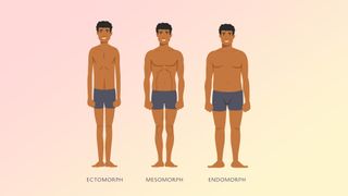 a photo of the three different body types