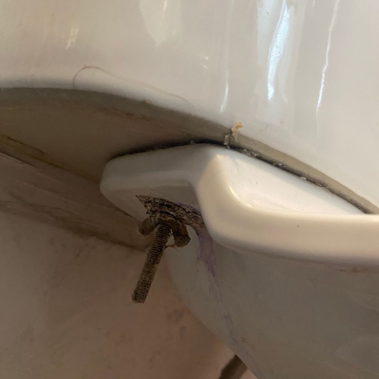 Showing a crusty failed bolt from beneath a cistern