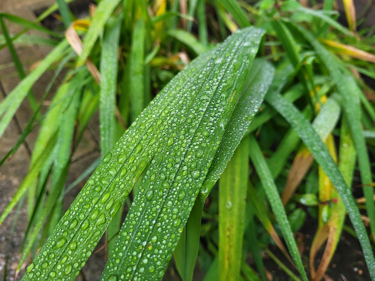 Samsung Galaxy S21 FE review