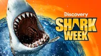 Shark Week | HBO Max | New episodes daily